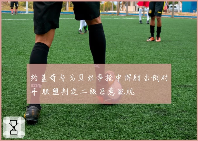 约基奇与戈贝尔争抢中挥肘击倒对手 联盟判定二级恶意犯规