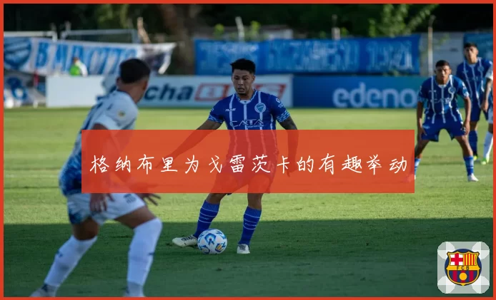 格纳布里为戈雷茨卡的有趣举动