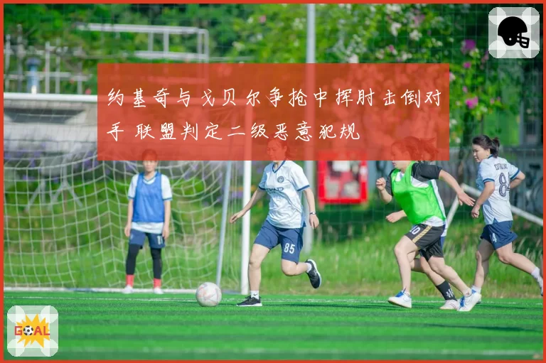 约基奇与戈贝尔争抢中挥肘击倒对手 联盟判定二级恶意犯规