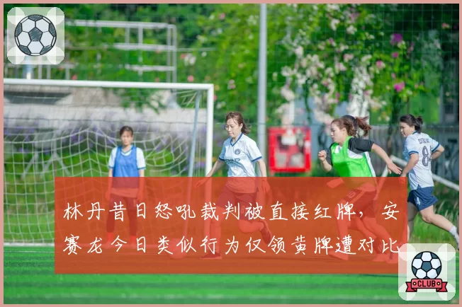 林丹昔日怒吼裁判被直接红牌,安赛龙今日类似行为仅领黄牌遭对比