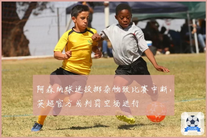 阿森纳球迷投掷杂物致比赛中断,英超官方或判罚空场进行