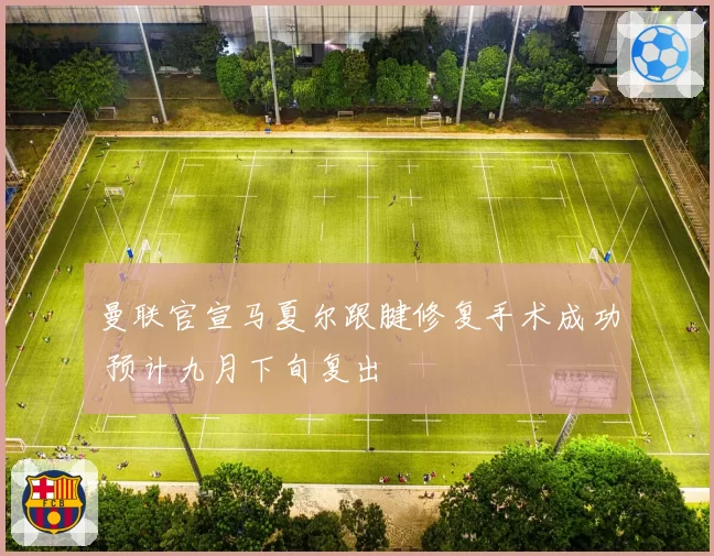 曼联官宣马夏尔跟腱修复手术成功 预计九月下旬复出