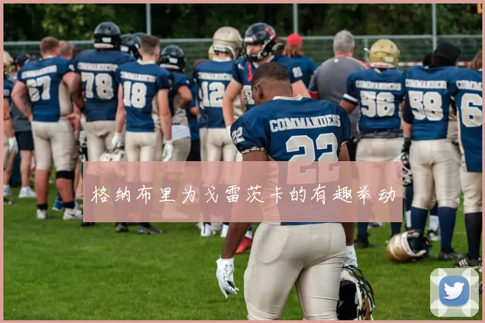 格纳布里为戈雷茨卡的有趣举动